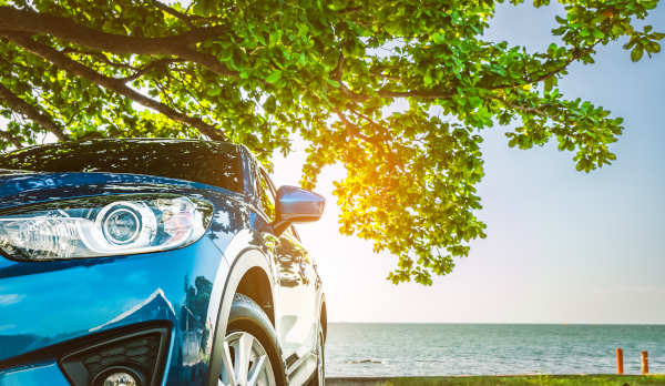 Blue sports car parked under the shade of the tree facing a beach